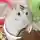 はむ子さんのプロフィール画像