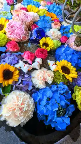 駒込妙義神社の手水舎