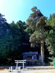 諏訪神社の鳥居