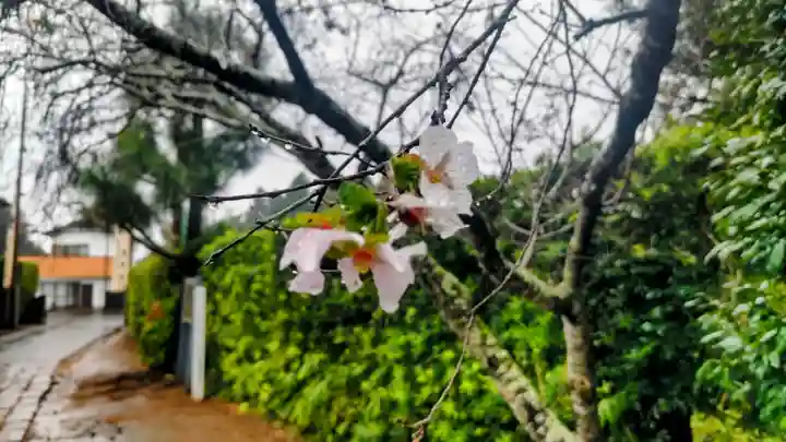 松山神社(千葉県)