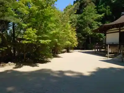 宇治上神社(京都府)