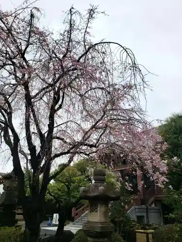 最勝寺(東京都)