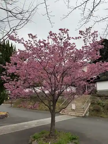 建長寺(神奈川県)