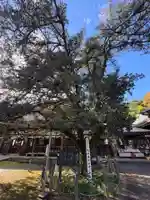 茂林寺(群馬県)