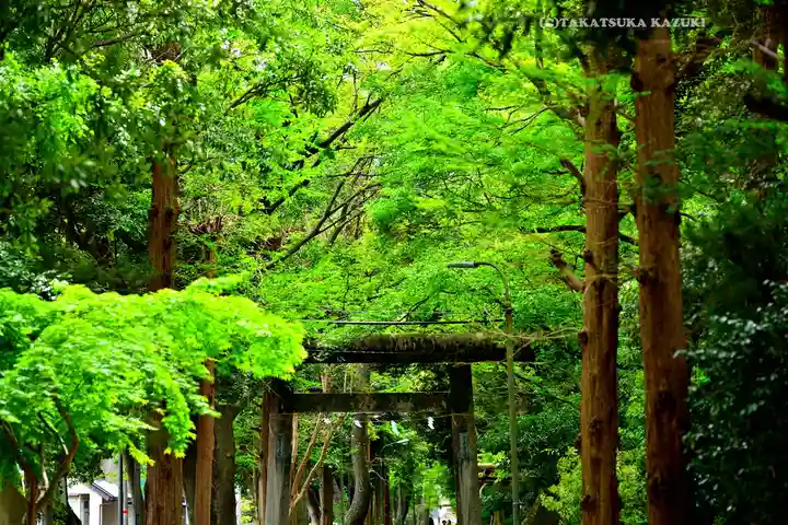 越ヶ谷久伊豆神社(埼玉県)