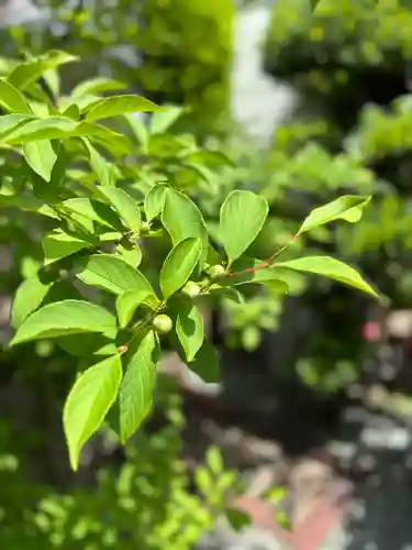 観音寺(兵庫県)