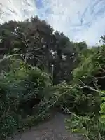 白羽神社(静岡県)
