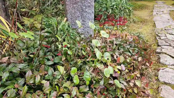 実光院(京都府)