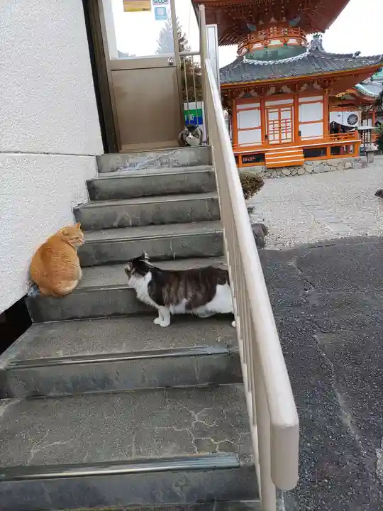 龍泉寺の動物