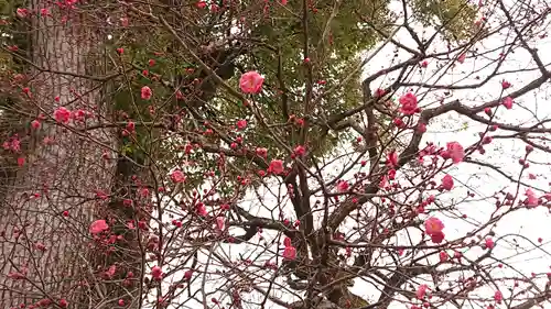 北野天満宮(京都府)