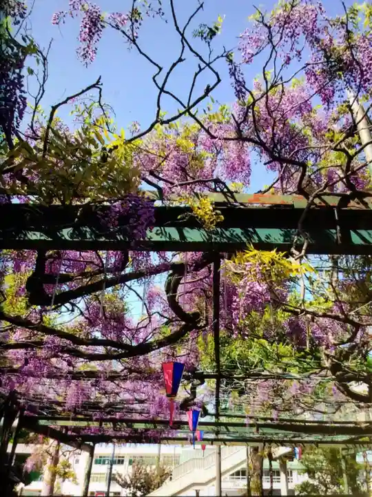 國領神社(東京都)