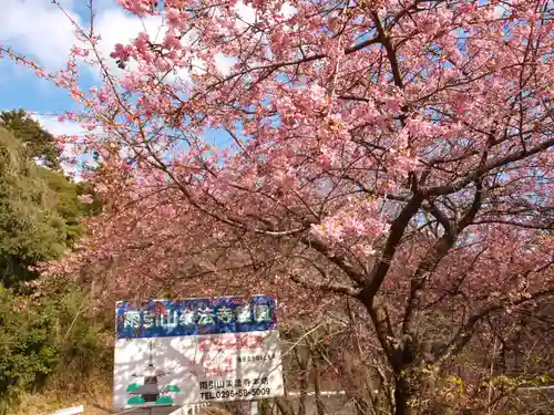 楽法寺（雨引観音）の自然