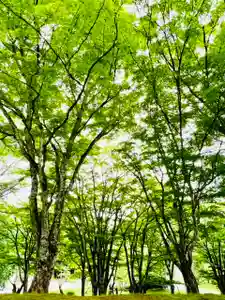 土津神社|こどもと出世の神さまの景色(2022年08月25日(木) 21時31分00秒投稿)