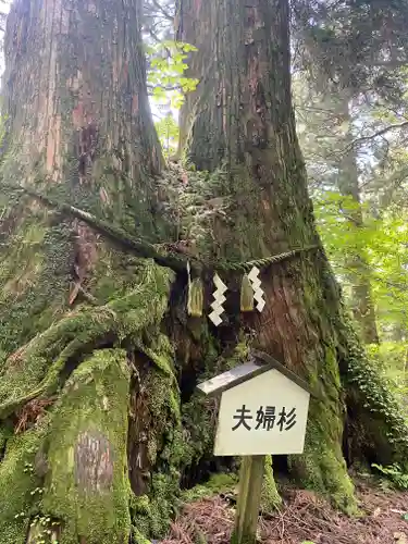 葛木神社(奈良県)