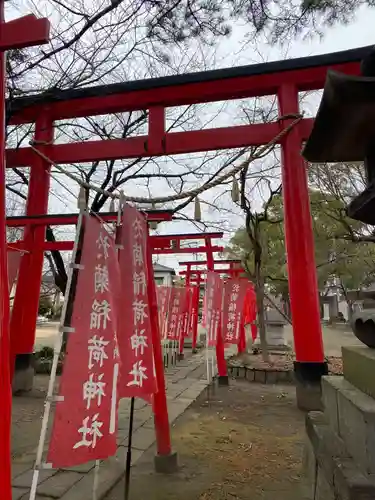 於菊稲荷神社の鳥居