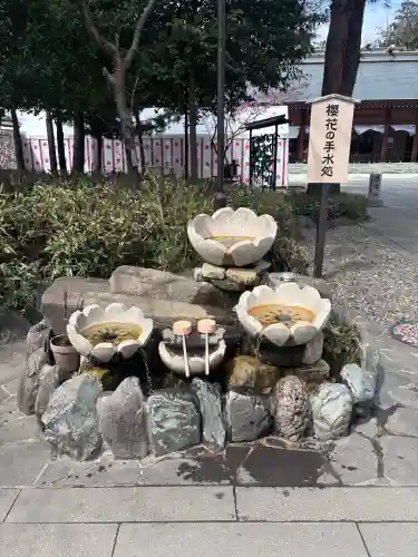 櫻木神社の{uncategorized: "未分類", other: "その他", undefined: "問題あり", building: "その他建物", grave: "お墓", sacred_gate: "鳥居", guardian: "狛犬", statue: "像", buddha: "仏像", history: "歴史", nature: "自然", garden: "庭園", animal: "動物", pagoda: "塔", temizu: "手水舎", mountain_gate: "山門・神門", sanctuary: "本殿・本堂", subordinate: "末社・摂社", art: "芸術", scenery: "景色", jizo: "地蔵", ema: "絵馬", goshuin: "御朱印", omikuji: "おみくじ", items: "授与品その他", amulet: "お守り", goshuincho: "御朱印帳", eats: "食事", festival: "お祭り", votive_dance: "神楽", shichigosan: "七五三参", wedding: "結婚式", experience: "体験その他", initially: "初詣", around: "周辺", anti_infection: "感染症対策"}