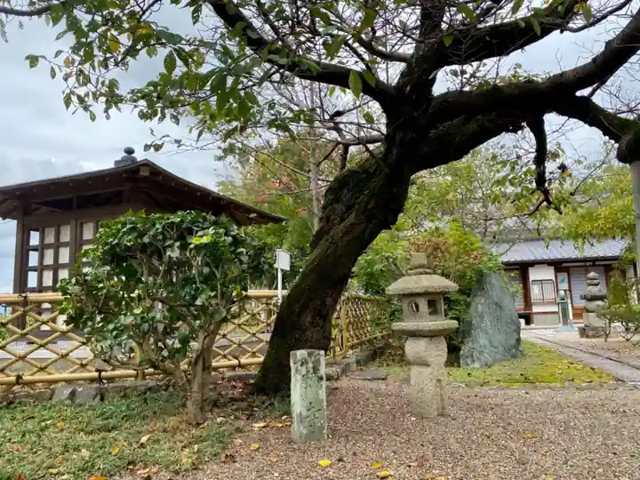 橋寺 放生院の自然