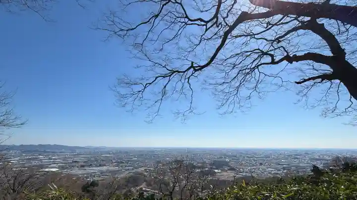 新田神社の{uncategorized: "未分類", other: "その他", undefined: "問題あり", building: "その他建物", grave: "お墓", sacred_gate: "鳥居", guardian: "狛犬", statue: "像", buddha: "仏像", history: "歴史", nature: "自然", garden: "庭園", animal: "動物", pagoda: "塔", temizu: "手水舎", mountain_gate: "山門・神門", sanctuary: "本殿・本堂", subordinate: "末社・摂社", art: "芸術", scenery: "景色", jizo: "地蔵", ema: "絵馬", goshuin: "御朱印", omikuji: "おみくじ", items: "授与品その他", amulet: "お守り", goshuincho: "御朱印帳", eats: "食事", festival: "お祭り", votive_dance: "神楽", shichigosan: "七五三参", wedding: "結婚式", experience: "体験その他", initially: "初詣", around: "周辺", anti_infection: "感染症対策"}