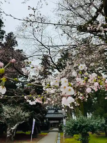 守りの神　藤基神社の山門・神門