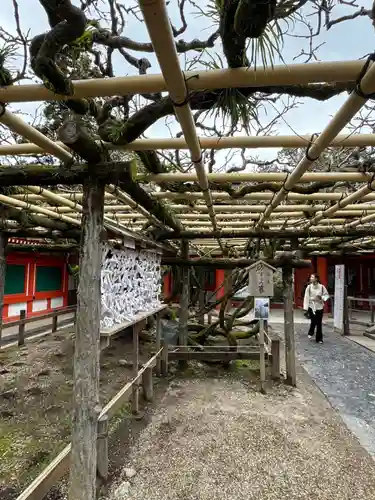 春日大社(奈良県)