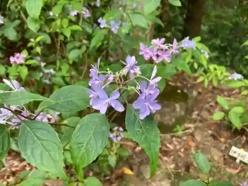 惣河内神社の自然