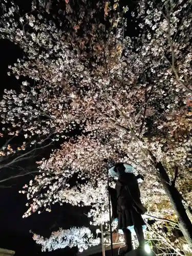 如宝寺(福島県)