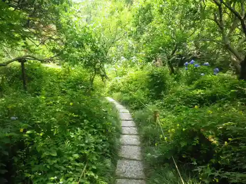 瑞泉寺の庭園