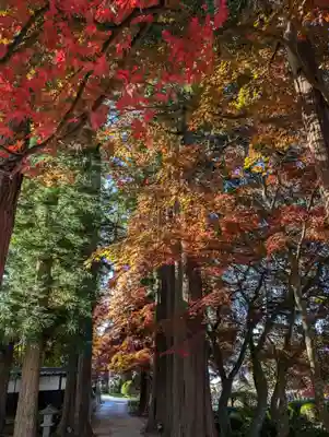 長圓寺(長野県)