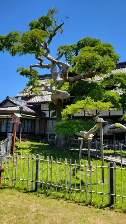 圓鏡寺の{uncategorized: "未分類", other: "その他", undefined: "問題あり", building: "その他建物", grave: "お墓", sacred_gate: "鳥居", guardian: "狛犬", statue: "像", buddha: "仏像", history: "歴史", nature: "自然", garden: "庭園", animal: "動物", pagoda: "塔", temizu: "手水舎", mountain_gate: "山門・神門", sanctuary: "本殿・本堂", subordinate: "末社・摂社", art: "芸術", scenery: "景色", jizo: "地蔵", ema: "絵馬", goshuin: "御朱印", omikuji: "おみくじ", items: "授与品その他", amulet: "お守り", goshuincho: "御朱印帳", eats: "食事", festival: "お祭り", votive_dance: "神楽", shichigosan: "七五三参", wedding: "結婚式", experience: "体験その他", initially: "初詣", around: "周辺", anti_infection: "感染症対策"}