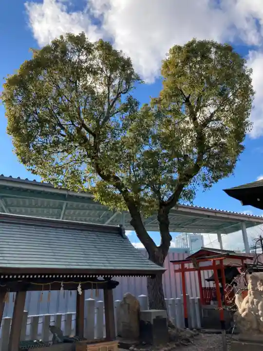 南宮宇佐八幡神社(脇浜神社)の自然