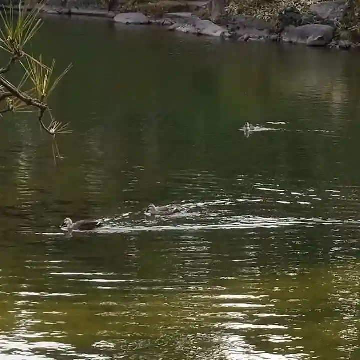 駒止稲荷神社の自然