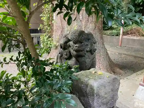 白髭神社の狛犬