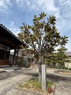 教興寺(兵庫県)