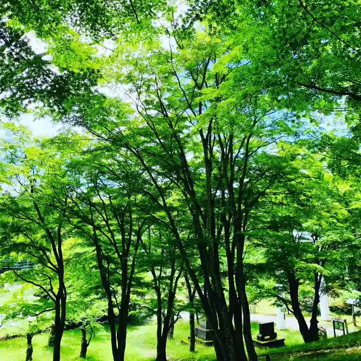 土津神社|こどもと出世の神さまの自然