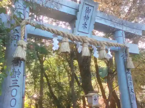 武雄神社の鳥居