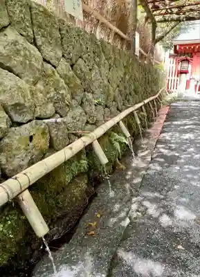 富士山本宮浅間大社(静岡県)