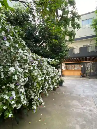 銀杏岡八幡神社の{uncategorized: "未分類", other: "その他", undefined: "問題あり", building: "その他建物", grave: "お墓", sacred_gate: "鳥居", guardian: "狛犬", statue: "像", buddha: "仏像", history: "歴史", nature: "自然", garden: "庭園", animal: "動物", pagoda: "塔", temizu: "手水舎", mountain_gate: "山門・神門", sanctuary: "本殿・本堂", subordinate: "末社・摂社", art: "芸術", scenery: "景色", jizo: "地蔵", ema: "絵馬", goshuin: "御朱印", omikuji: "おみくじ", items: "授与品その他", amulet: "お守り", goshuincho: "御朱印帳", eats: "食事", festival: "お祭り", votive_dance: "神楽", shichigosan: "七五三参", wedding: "結婚式", experience: "体験その他", initially: "初詣", around: "周辺", anti_infection: "感染症対策"}