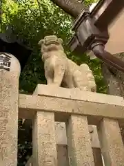 北野天満神社の狛犬