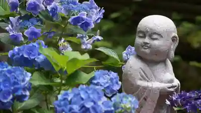 岡寺(龍蓋寺)(奈良県)