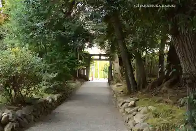 渋谷氷川神社(東京都)