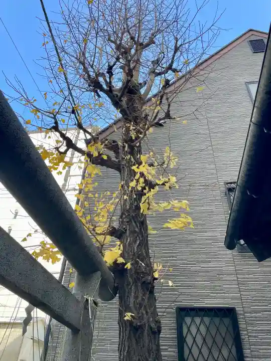 亀住稲荷神社の{uncategorized: "未分類", other: "その他", undefined: "問題あり", building: "その他建物", grave: "お墓", sacred_gate: "鳥居", guardian: "狛犬", statue: "像", buddha: "仏像", history: "歴史", nature: "自然", garden: "庭園", animal: "動物", pagoda: "塔", temizu: "手水舎", mountain_gate: "山門・神門", sanctuary: "本殿・本堂", subordinate: "末社・摂社", art: "芸術", scenery: "景色", jizo: "地蔵", ema: "絵馬", goshuin: "御朱印", omikuji: "おみくじ", items: "授与品その他", amulet: "お守り", goshuincho: "御朱印帳", eats: "食事", festival: "お祭り", votive_dance: "神楽", shichigosan: "七五三参", wedding: "結婚式", experience: "体験その他", initially: "初詣", around: "周辺", anti_infection: "感染症対策"}