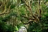 酒列磯前神社(茨城県)