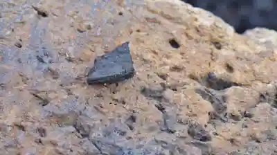 浄土院のその他建物