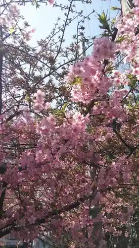 晴明神社の自然