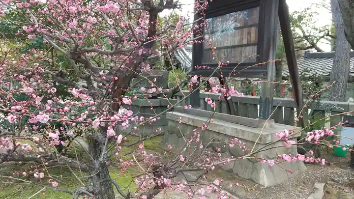 市原稲荷神社の自然