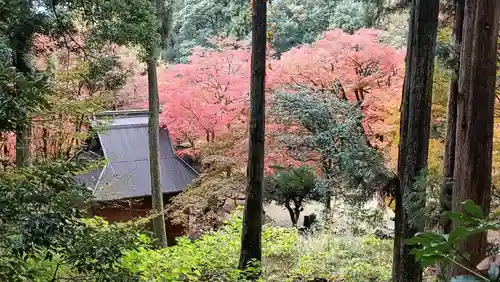 鶏足寺(滋賀県)