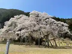 淡墨観音の自然