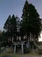 大山祇神社の鳥居