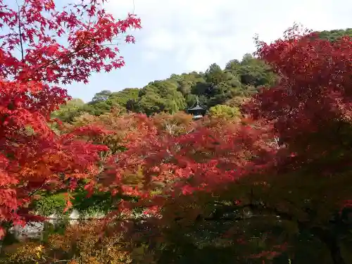 禅林寺（永観堂）の景色