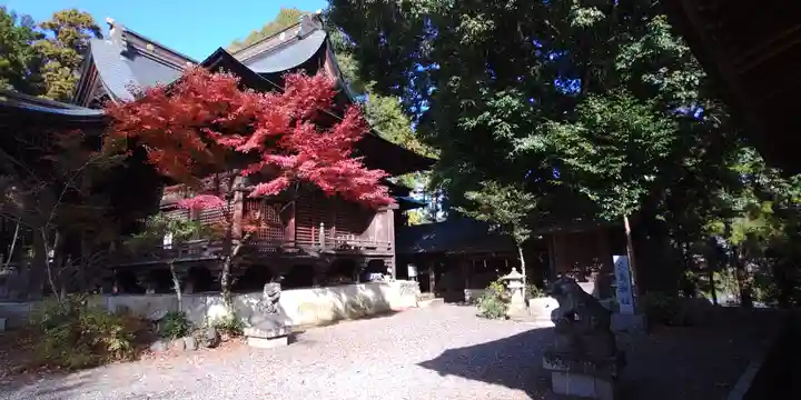 住吉神社(東京都)